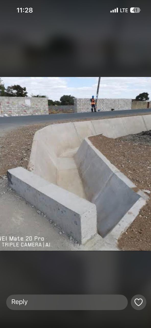 Bridge Project
